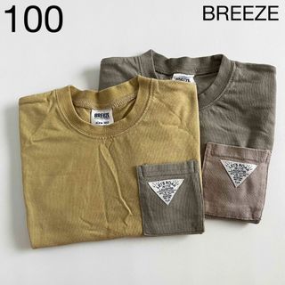 ブリーズ(BREEZE)の【100cm】BREEZE 　WEB限定カラバリTシャツ　2点セット(Tシャツ/カットソー)