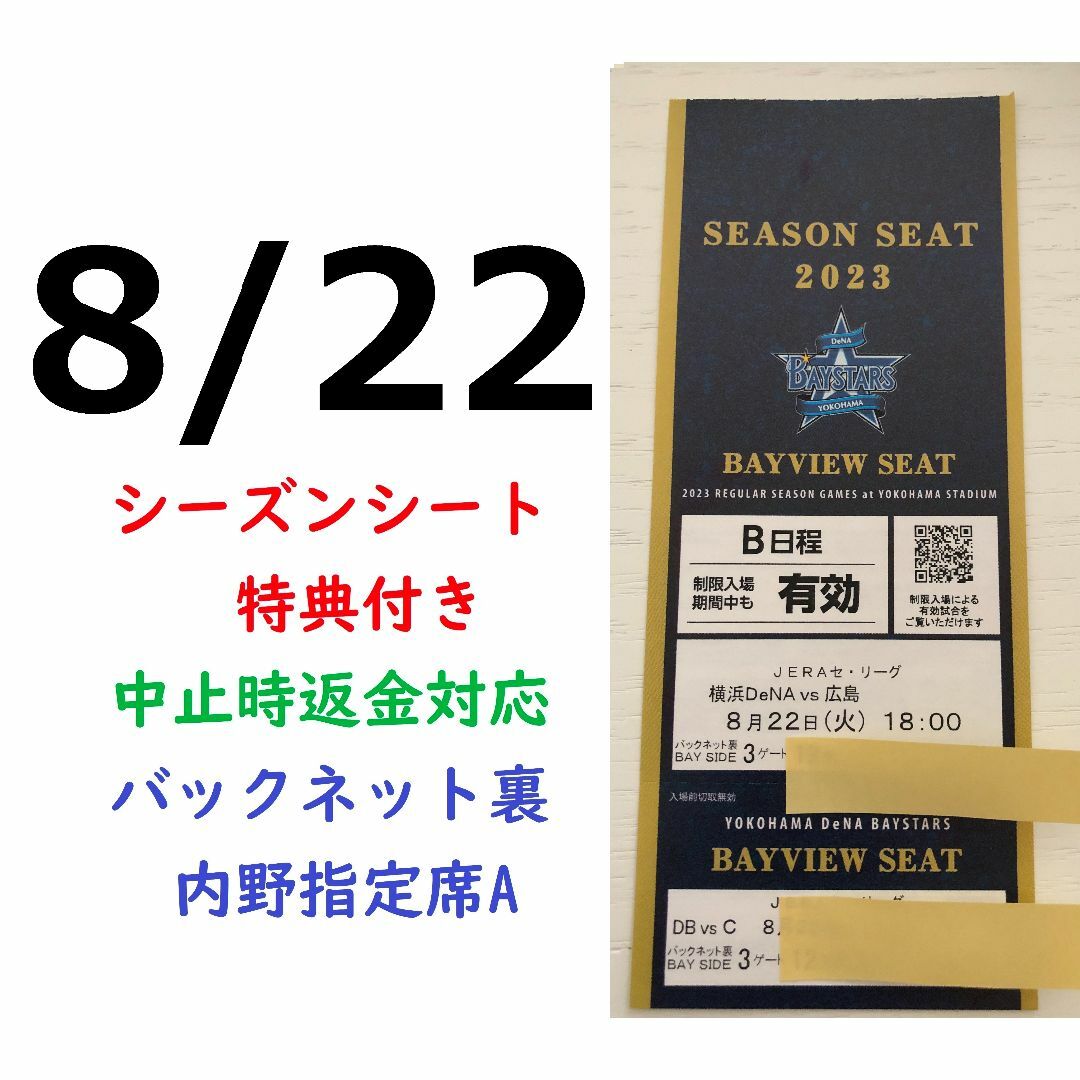 横浜DeNAベイスターズvs広島5月4日(祝･木)外野通路側含む2枚