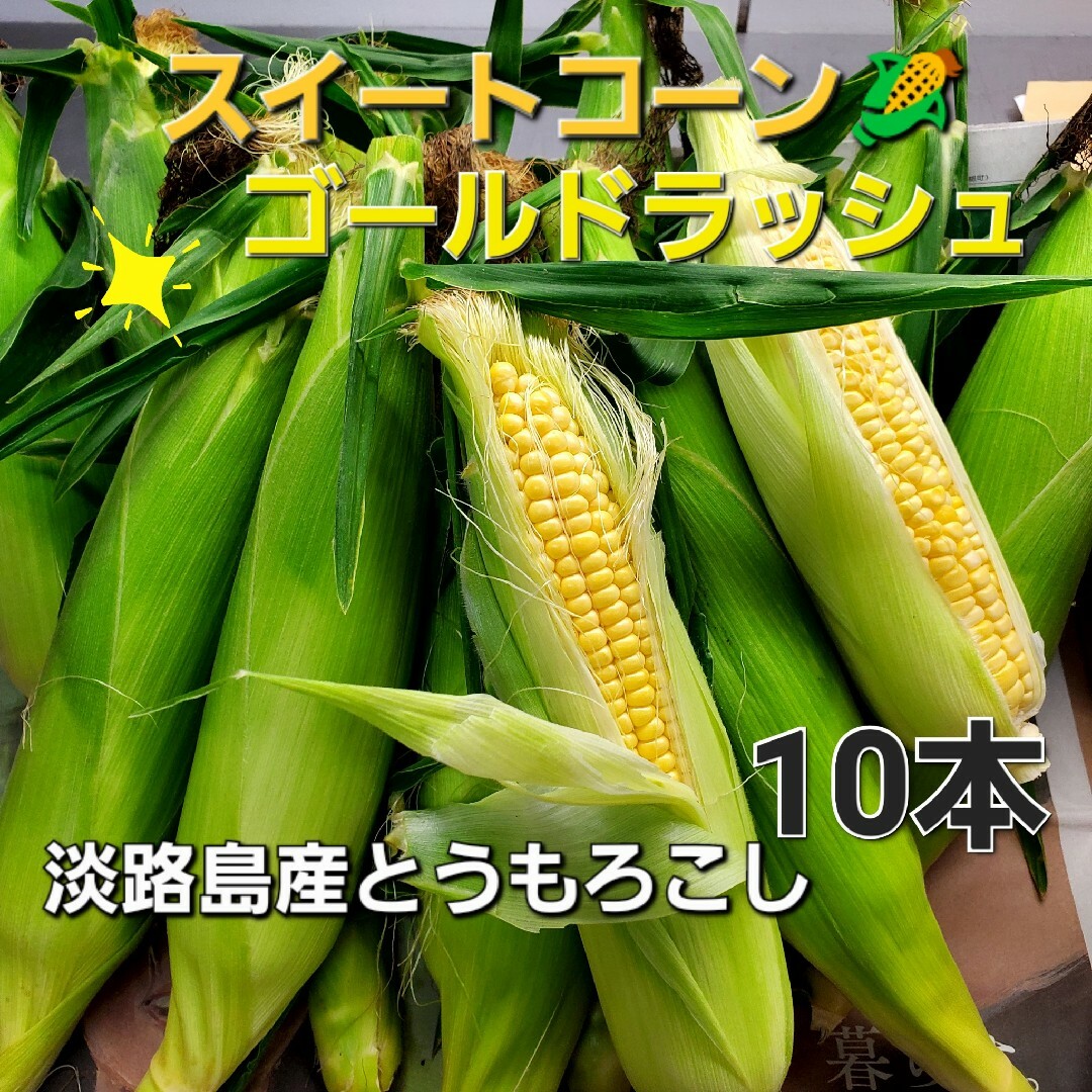 淡路島産とうもろこし🌽訳ありスイートコーン(ゴールドラッシュ)10本 食品/飲料/酒の食品(野菜)の商品写真