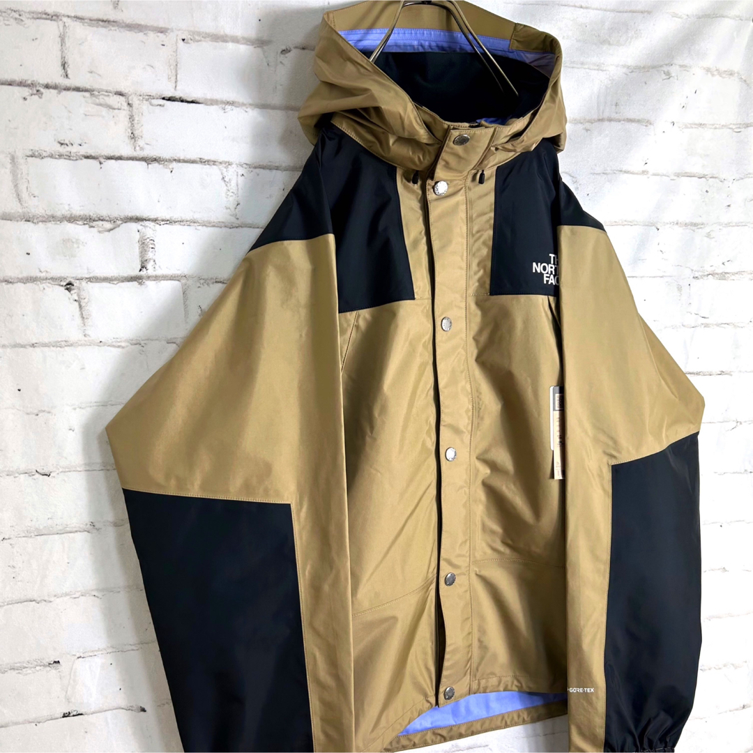 希少!THE NORTH FACE GORE-TEX マウンテンパーカー-