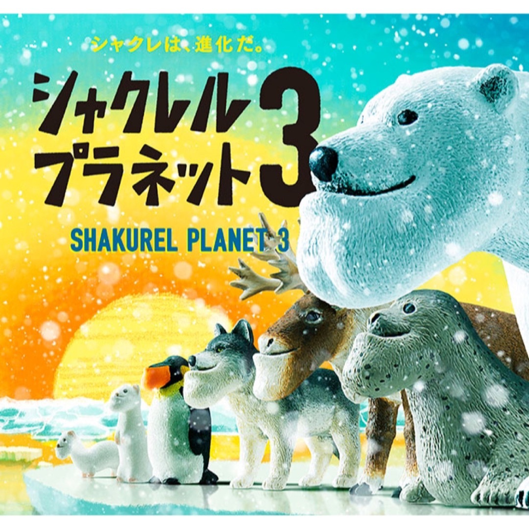 ショップ シャクレルプラネットブラック 3点セット② eurocursions.com