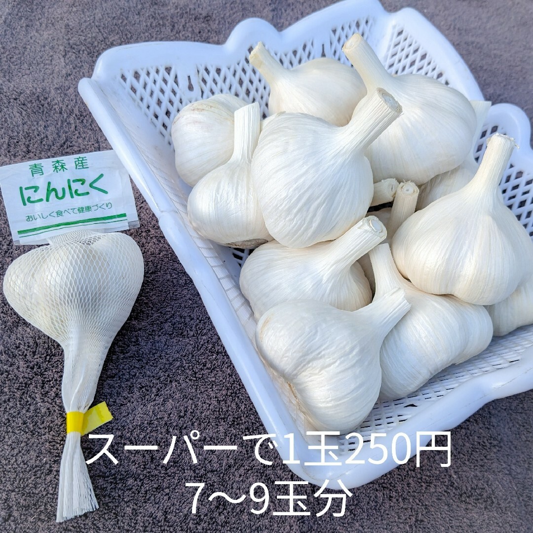 にんにく 【青森県産】福地ホワイト六片 500g 産直野菜② 食品/飲料/酒の食品(野菜)の商品写真