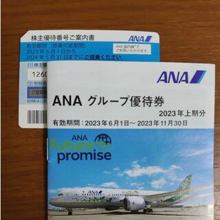 ANA 株主優待券 1枚（2024年5月期限)【匿名配送】(その他)