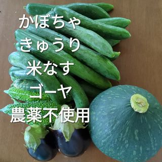 野菜セット かぼちゃ きゅうり 米なす ゴ―ヤ 農薬不使用の通販|ラクマ