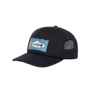 ステューシー(STUSSY)のSTUSSY Heal the Bay Ocean Stock Trucker(キャップ)