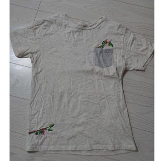 グラニフ(Graniph)のグラニフ Tシャツ 半袖  はらぺこあおむし(Tシャツ/カットソー(半袖/袖なし))