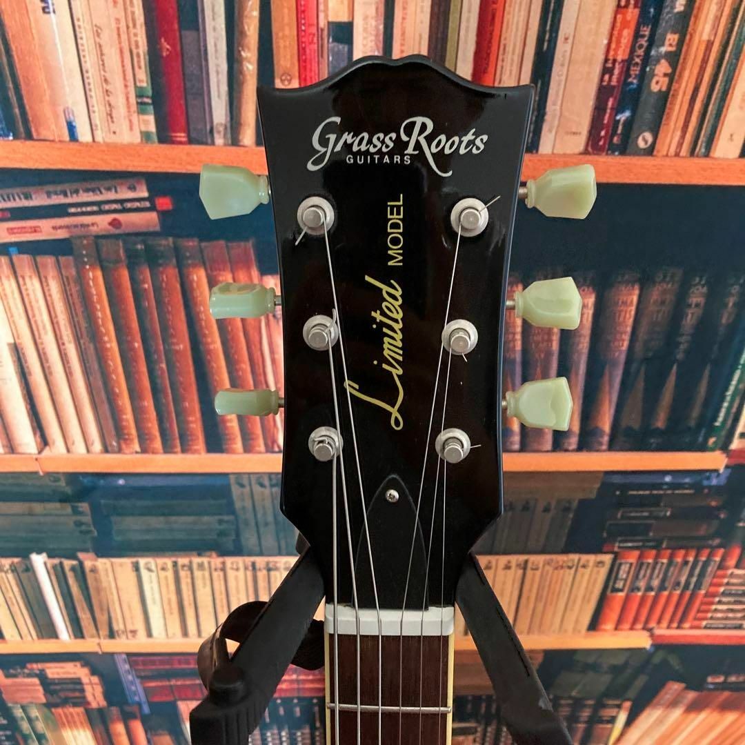 6096】 grass roots レスポール limited 虎目-silversky-lifesciences.com