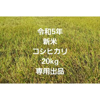 令和5年 新米 コシヒカリ 20kg(米/穀物)