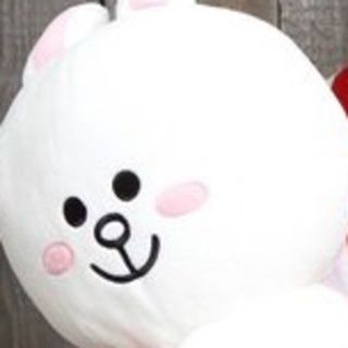 ぬいぐるみ 専用出品(クッション)