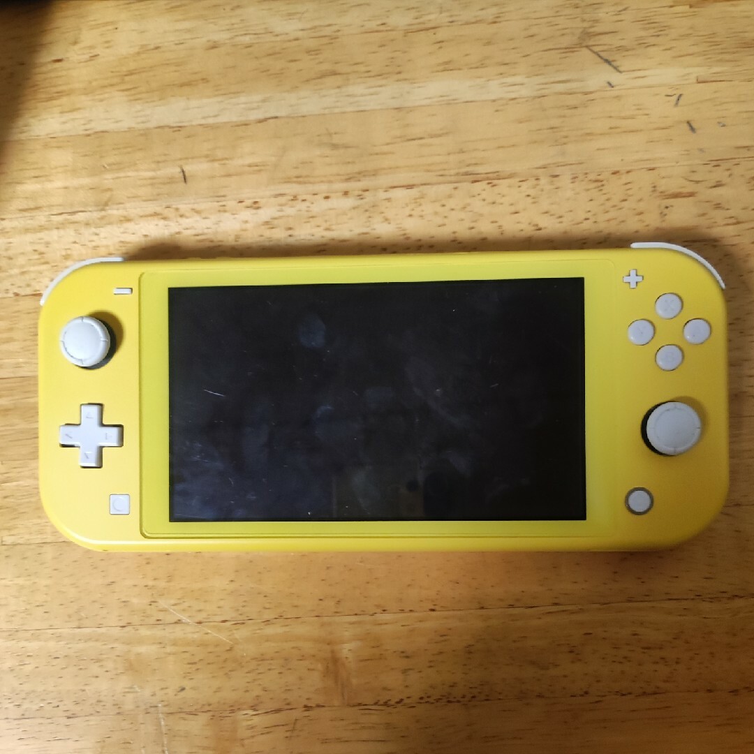 NINTENDO SWITCH LITE  ジャンク