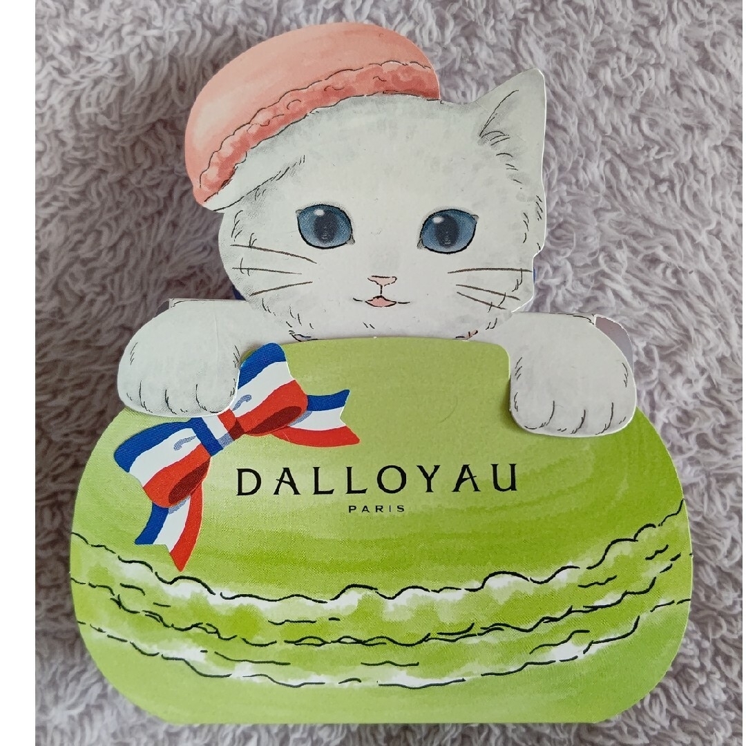 ダロワイヨ - ダロワイヨ ジョセフィーニャ 猫 空箱 マカロンの ダロワイヨ - ダロワイヨ ジョセフィーニャ 猫 空箱 マカロンの