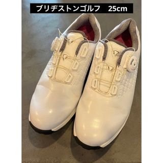 《値下げ》ブリヂストン ゴルフジュース　25cm ダイヤル式