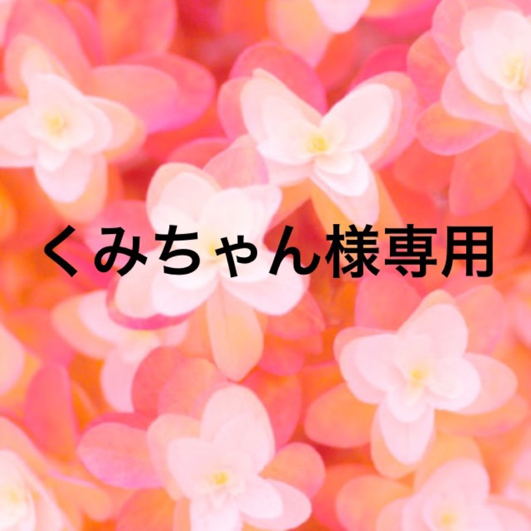 くみちゃん様専用の通販 by みんみんみかん◇プロフ一読お願いします