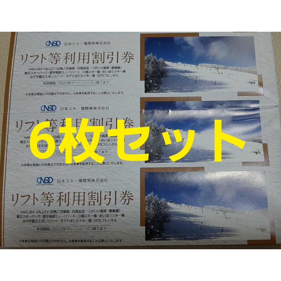 日本駐車場開発　株主優待　リフト等利用割引券 6枚 チケットの優待券/割引券(その他)の商品写真