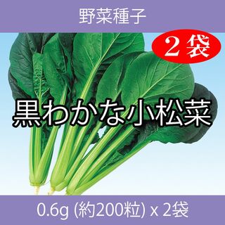 野菜種子 EBT 黒わかな小松菜 0.6g(約200粒) x 2袋(野菜)