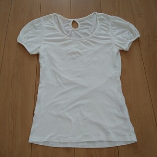 スピーガ(SPIGA)のSPIGA　トップス　半袖　Mサイズ(Tシャツ(半袖/袖なし))