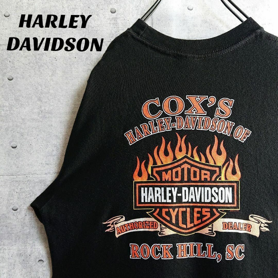 Harley Davidson(ハーレーダビッドソン)の【ハーレーダビッドソン】ファイヤーロゴ バックプリント 半袖 Tシャツ 黒 L メンズのトップス(Tシャツ/カットソー(半袖/袖なし))の商品写真