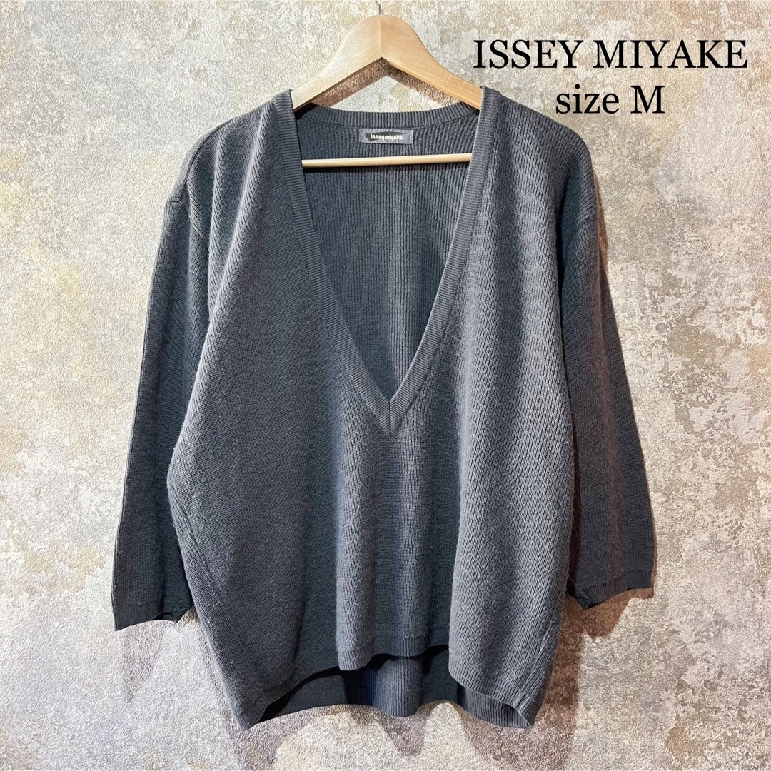 ISSEYMIYAKEISSEY MIYAKE イッセイミヤケ スキッパーニット 筆タグ