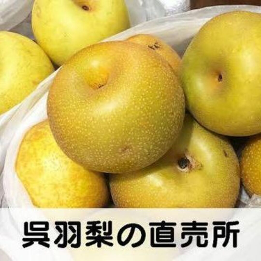 ７名様先着限定破格☆希少☆秀品☆富山県産☆呉羽豊水梨４〜５玉入り箱☆