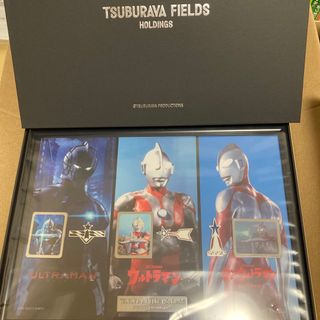 TSUBURAYA FIELDS HOLDINGS 株主優待(バッジ/ピンバッジ)