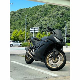 カワサキ(カワサキ)のkawasaki ninja250r zx6r仕様(車体)