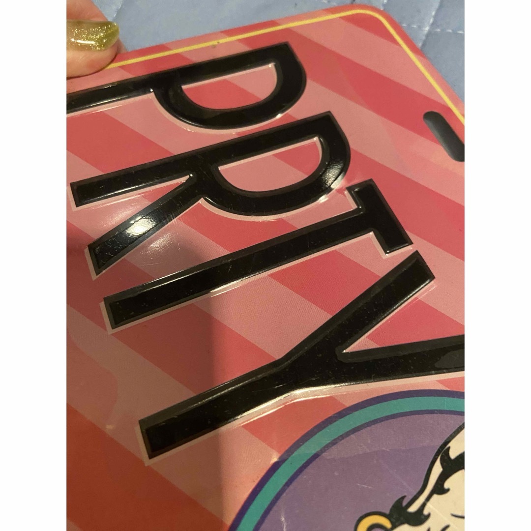 可愛い　ベティちゃん　ナンバープレート　Betty Boop 5