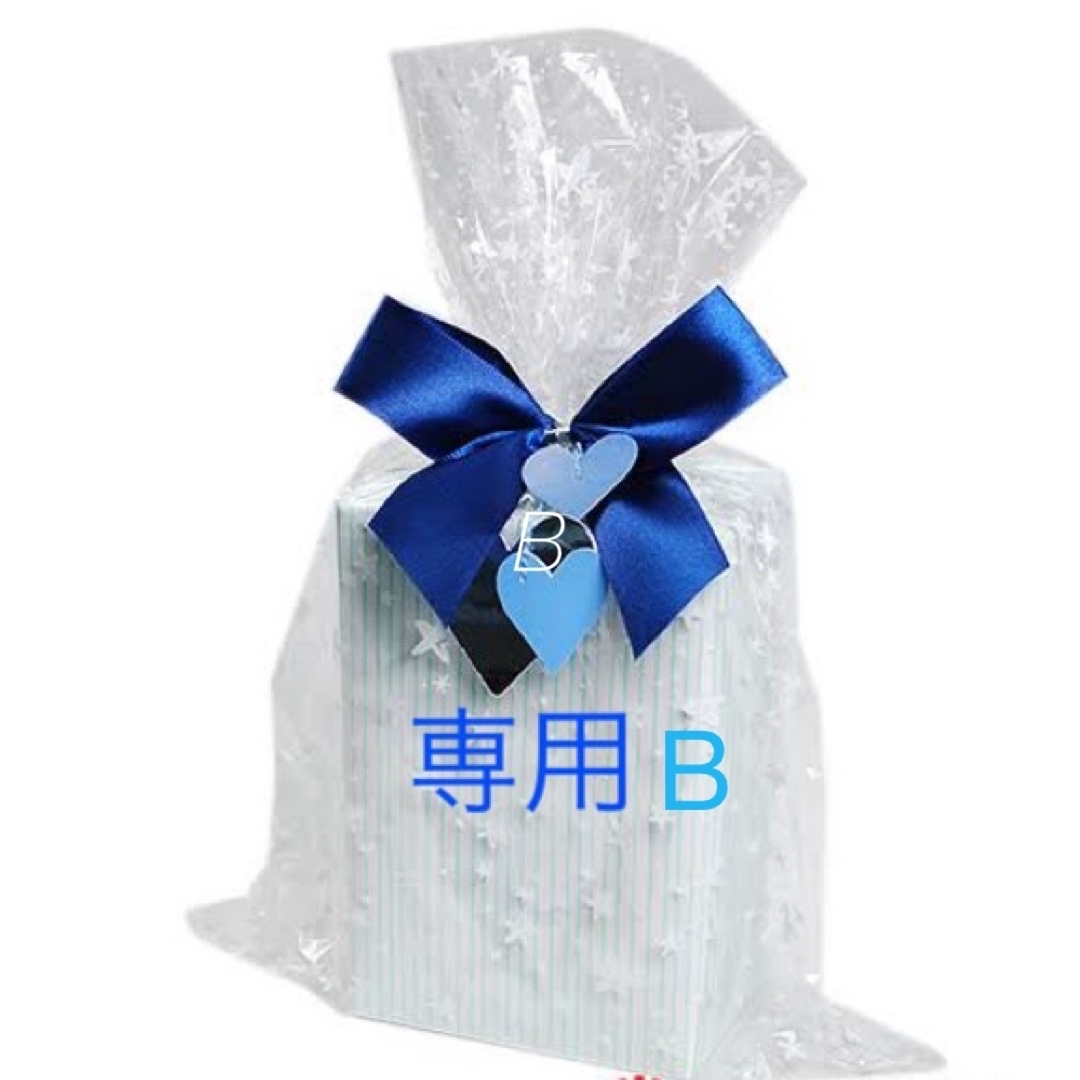 専用B　5色