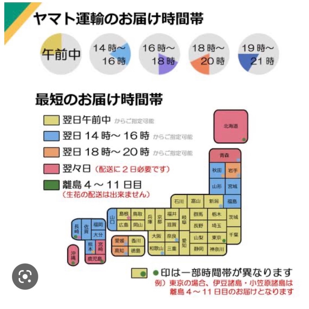 8月11日発送‼️ラスト１つ‼️丹波で育てた早生黒枝豆‼️500g入❗️ 食品/飲料/酒の食品(野菜)の商品写真