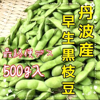最終便‼️早生黒枝豆（怪豆黒頭巾）500g入‼️(野菜)