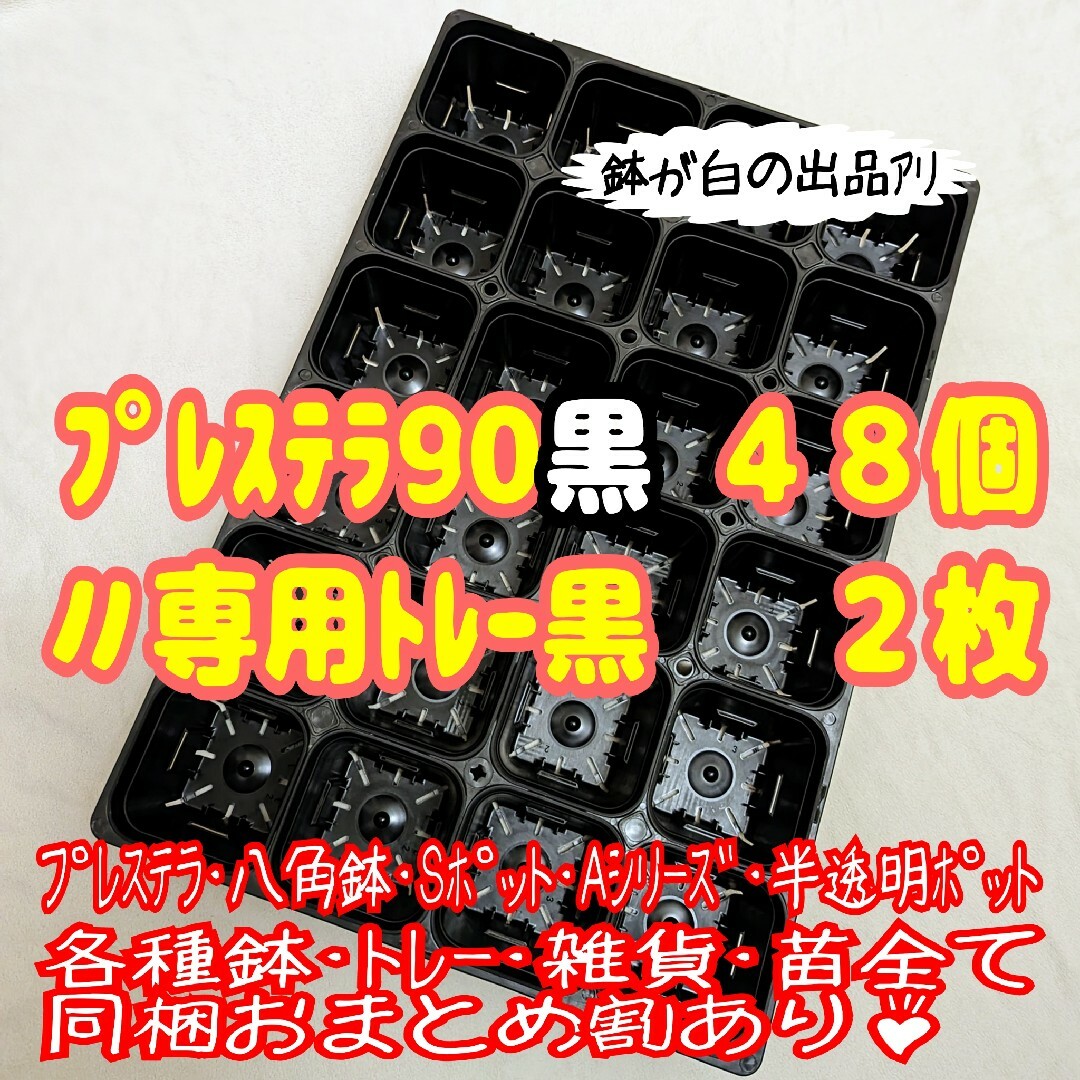 【スリット鉢】プレステラ90黒48個+専用システムトレー黒2枚 プラ鉢 多肉植物 | フリマアプリ ラクマ