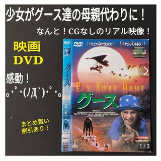 DVD 名作 映画 グース 渡り鳥作戦 感動！雁 アンナ・パキン 親子愛(外国映画)
