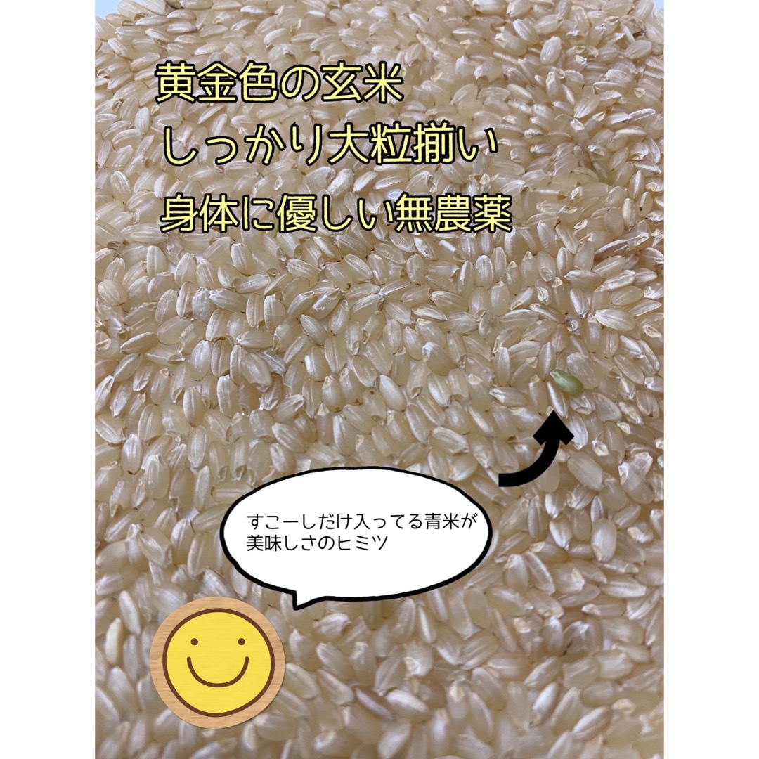 玄米10kg】農家直送！美味しいお米！埼玉県産コシヒカリ！の通販 by MIYA's shop｜ラクマ