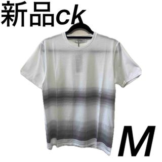 カルバンクライン(Calvin Klein)の新品カルバンクライン　tシャツ　メンズ　ホワイト　グレー(Tシャツ/カットソー(半袖/袖なし))