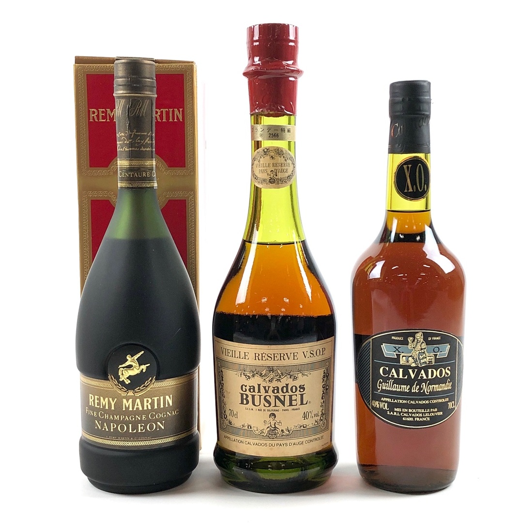 3本 REMY MARTIN BUSNEL Guillaume de Normandie コニャック