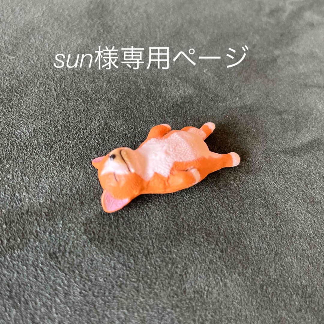 【sun様専用ページ】 エンタメ/ホビーのフィギュア(その他)の商品写真