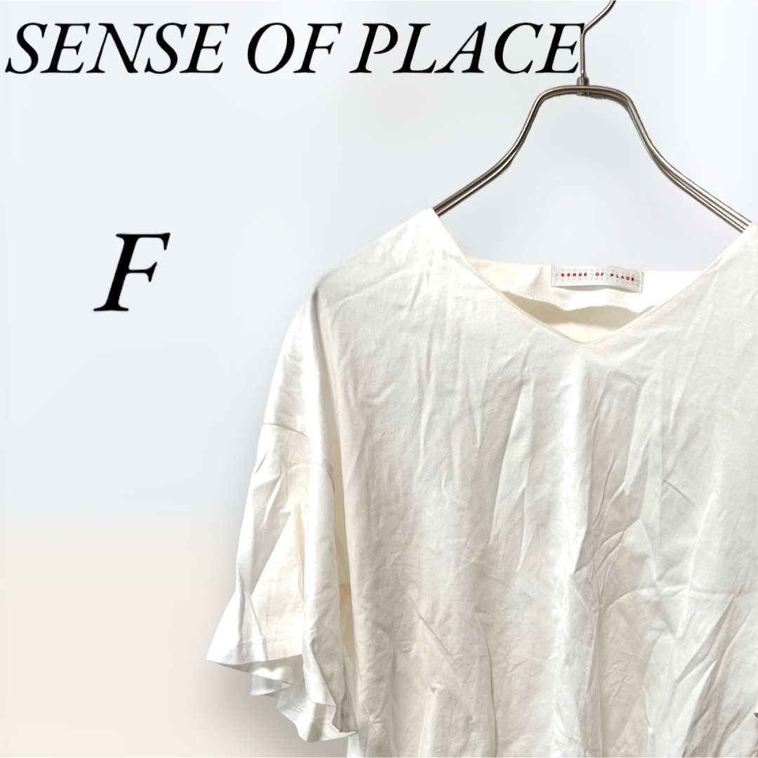 SENSE OF PLACE by URBAN RESEARCH(センスオブプレイスバイアーバンリサーチ)の★綿100%★ SENSE OF PLACE 半袖トップス　Tシャツ　Fサイズ レディースのトップス(Tシャツ(半袖/袖なし))の商品写真