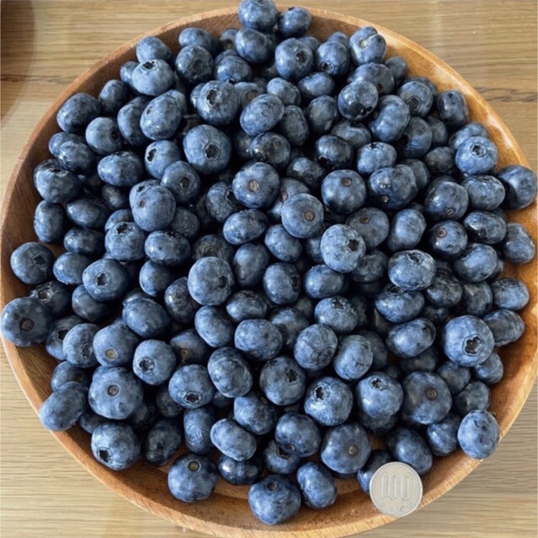 北海道産 ブルーベリー 無農薬 4kg 送料込 フルーツ 果物 - フルーツ