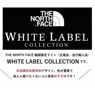 THE NORTH FACE - 【日本未発売】THE NORTHFACE リュックサック 24L