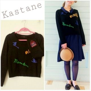 カスタネ(Kastane)のKastane＊takeme 刺繍ニット(ニット/セーター)