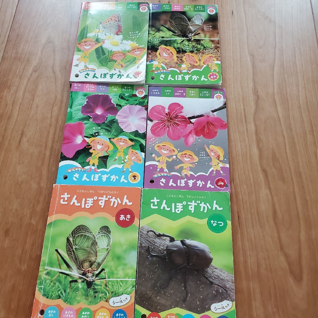 さんぽずかん６冊セット エンタメ/ホビーの本(絵本/児童書)の商品写真