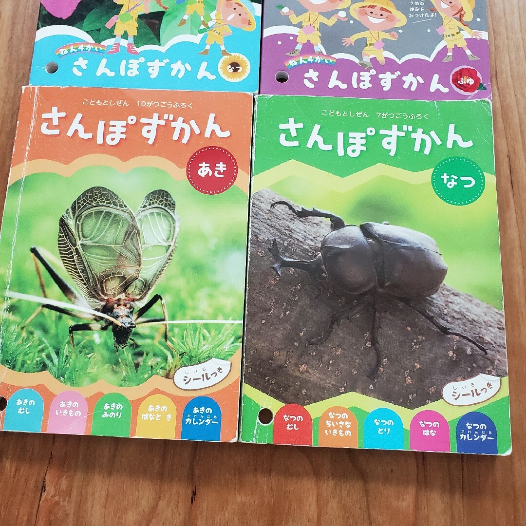 さんぽずかん６冊セット エンタメ/ホビーの本(絵本/児童書)の商品写真