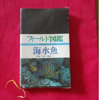 フィールド図鑑　海水魚　益田一(趣味/スポーツ/実用)