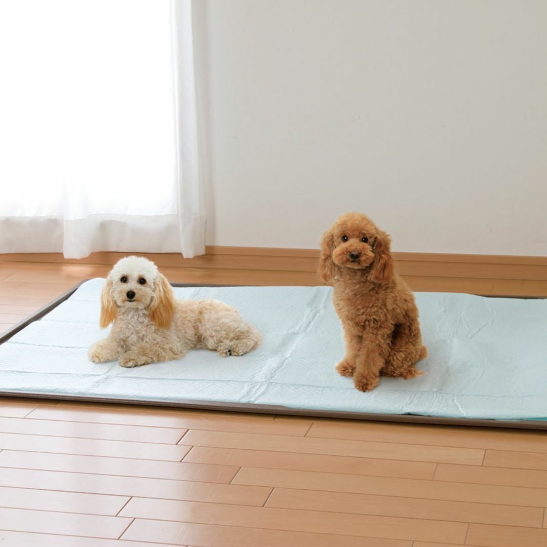 アイリスオーヤマ ペットシーツ 薄型 多頭飼い 小型犬 超大判サイズ 10枚×8