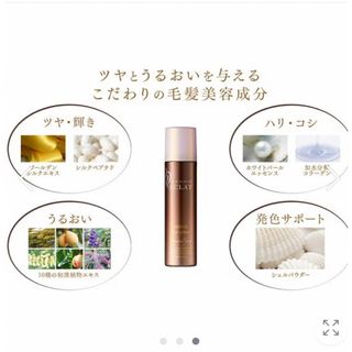 ヘアボーテ エクラ ボタニカル エアカラーフォーム ダークブラウン 150g(白髪染め)