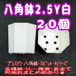 カネヤ【2.5Y】八角鉢 白 20個 プラ鉢 スリット鉢 プレステラ 多肉植物(プランター)