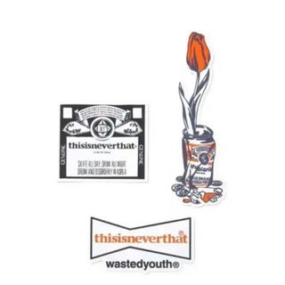 ディスイズネバーザット(thisisneverthat)のthisisneverthat wasted youth Stickers(その他)