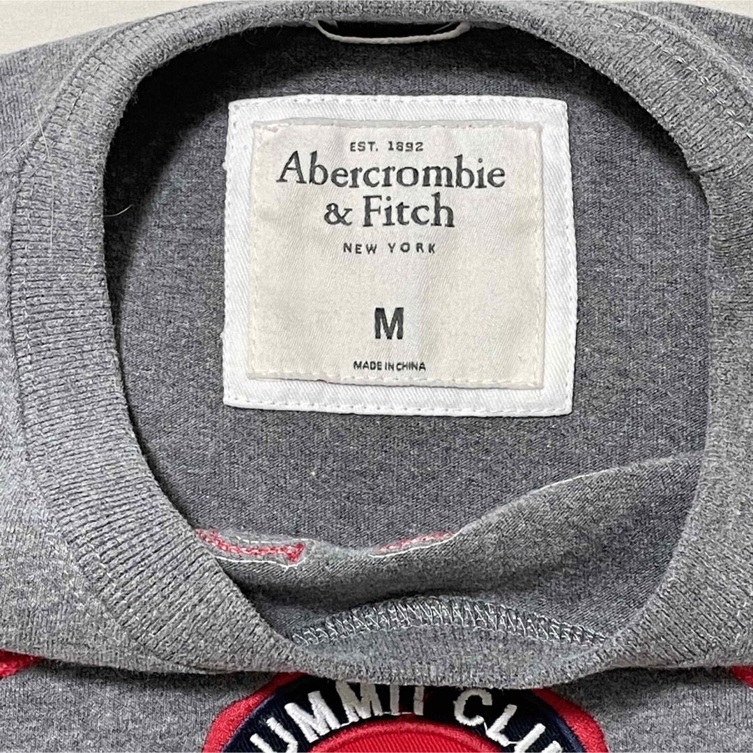 Abercrombie&Fitch(アバクロンビーアンドフィッチ)の人気のアバクロ！刺繍と立体ロゴが個性的でコーデしやすいグレーTシャツ(M) メンズのトップス(Tシャツ/カットソー(半袖/袖なし))の商品写真