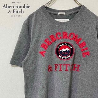 アバクロンビーアンドフィッチ(Abercrombie&Fitch)の人気のアバクロ！刺繍と立体ロゴが個性的でコーデしやすいグレーTシャツ(M)(Tシャツ/カットソー(半袖/袖なし))