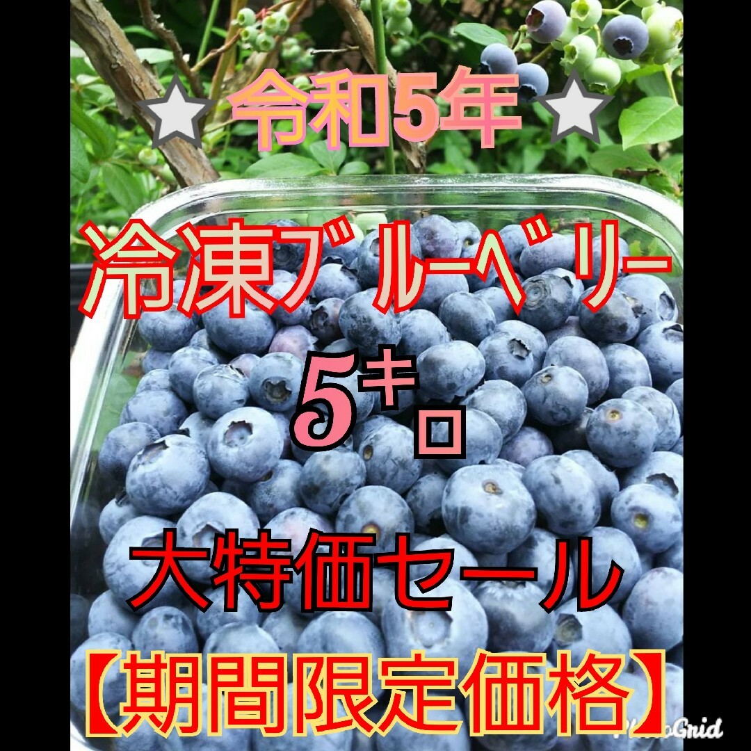 食品⭐令和5年 冷凍ﾌﾞﾙｰﾍﾞﾘｰ⭐5㌔