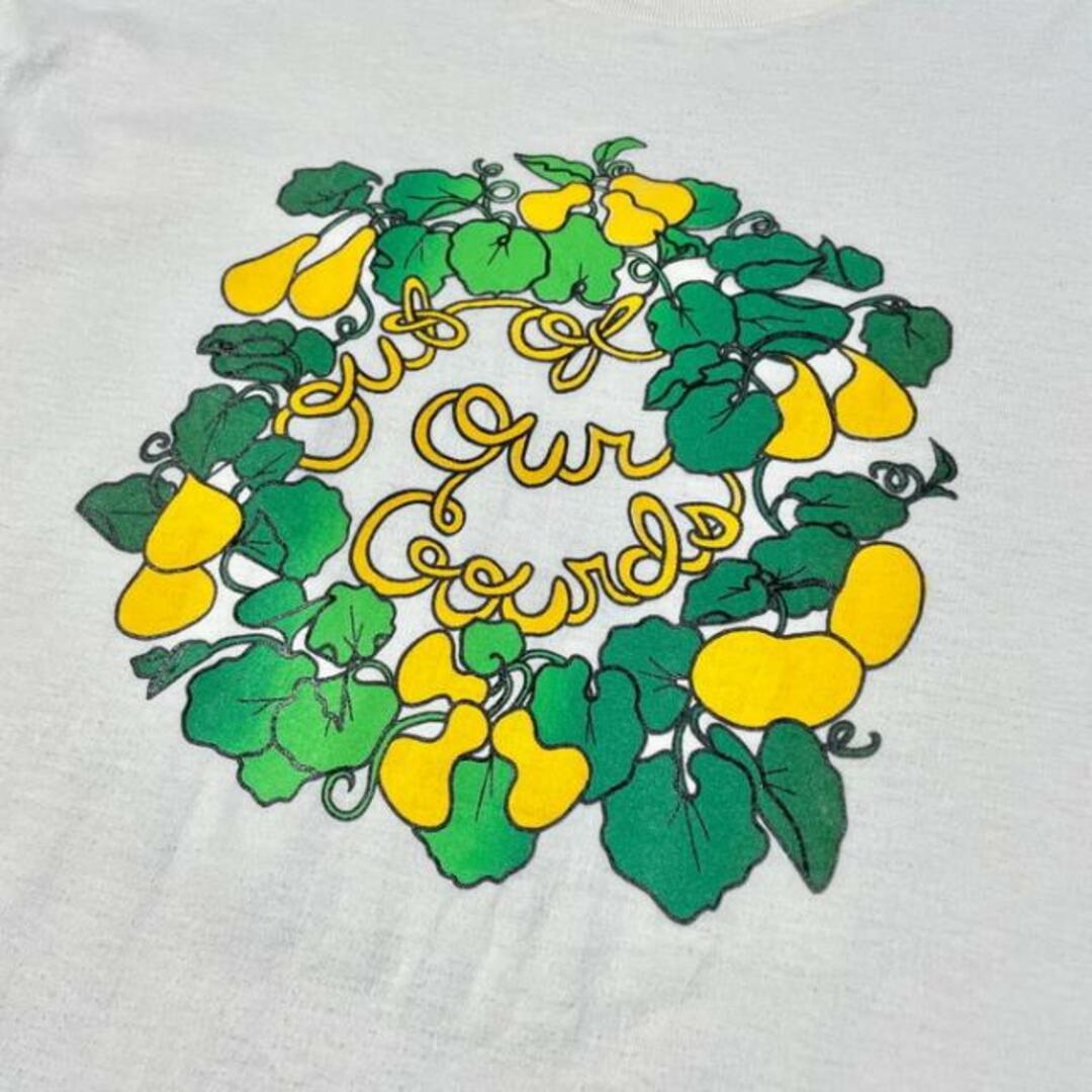 90年代 USA製 OUT OF OUR GOURDS ヒョウタン ボタニカル アート プリントTシャツ メンズL相当